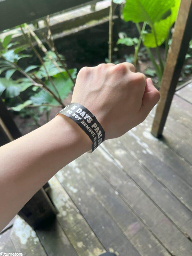 ムル国立公園5daypass