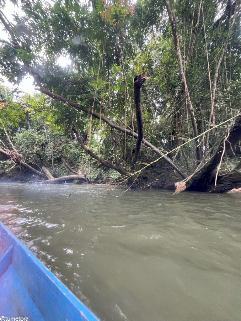 ボートで公園へ帰る