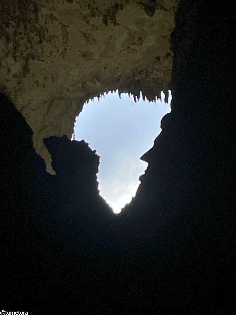 リンカーンの横顔