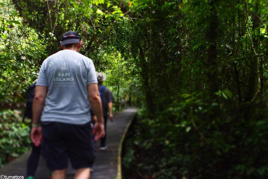 ムル国立公園内トレイル