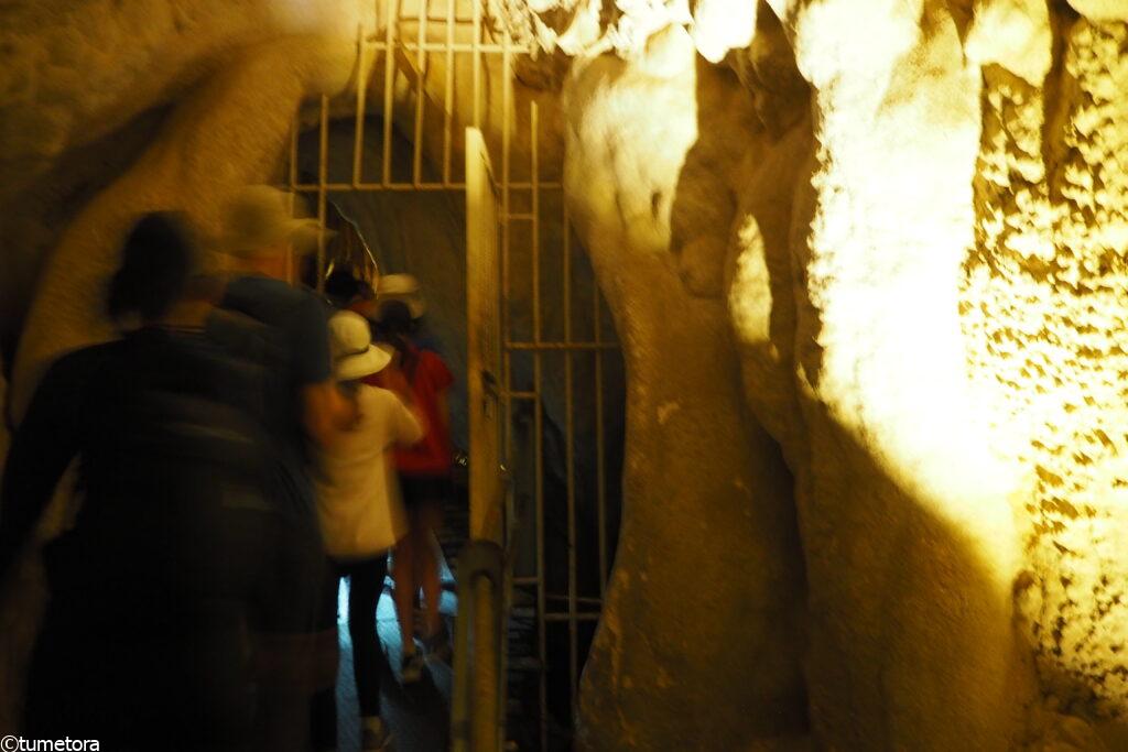 CLEARWATER CAVE& CAVE OF THE WINDSのアイキャッチ