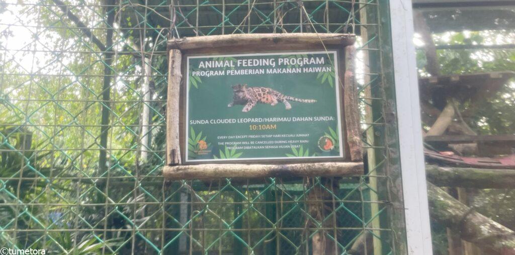 スンダランドウンピョウ餌やり時間