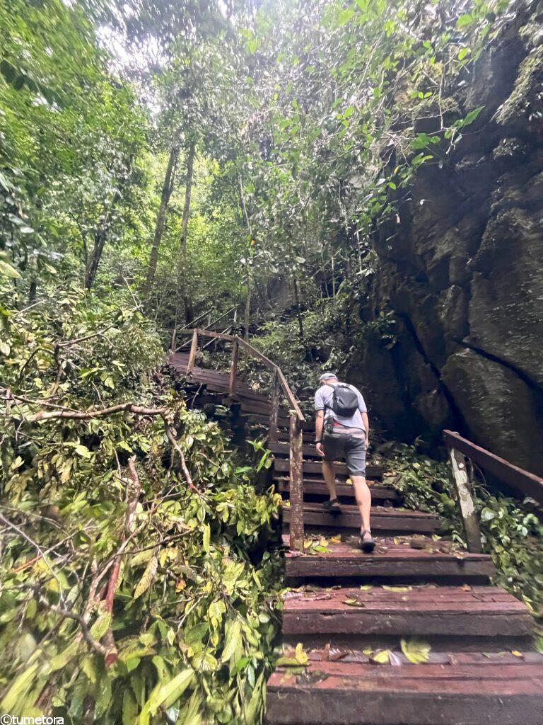 洞窟までの階段