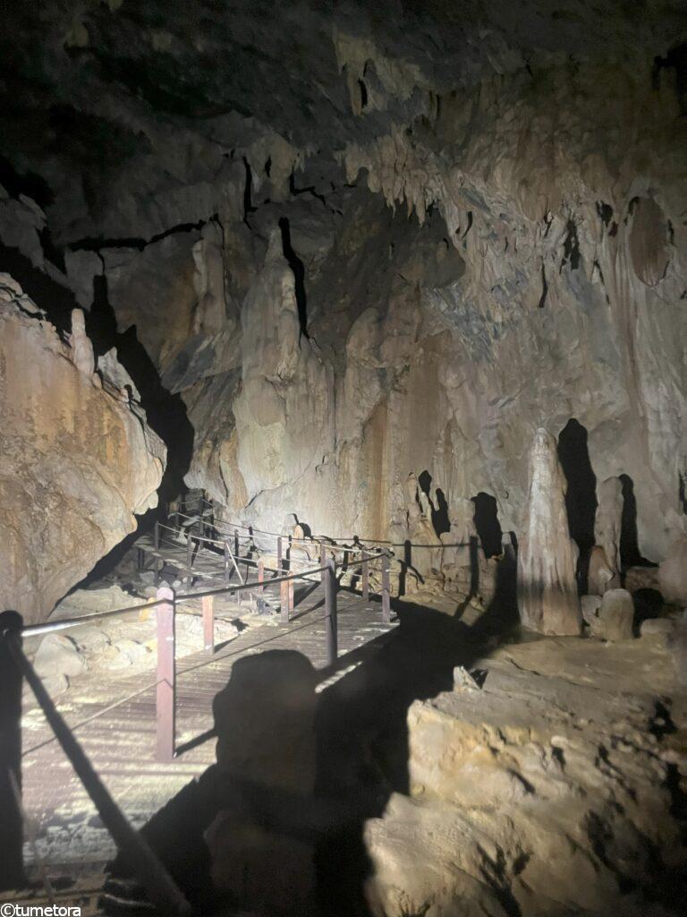 ファストレーン