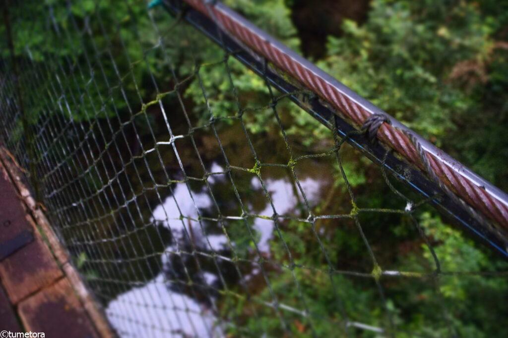 キャノピーウォーク2