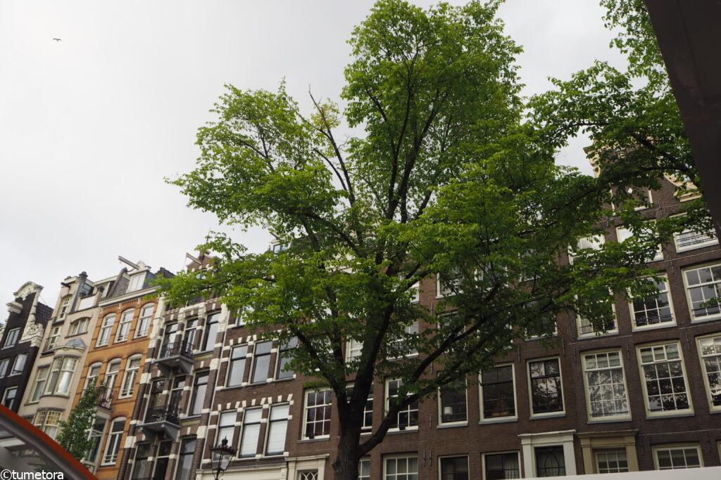 オランダの建物