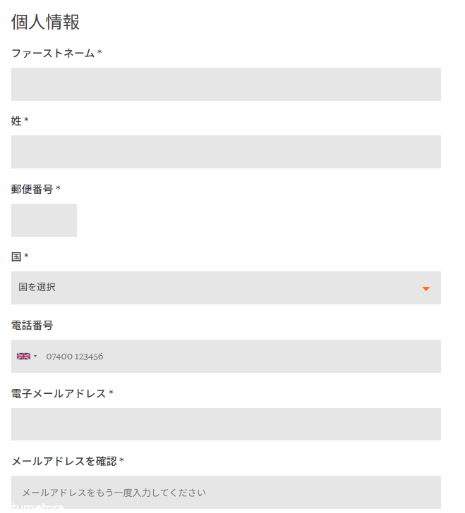 マウリッツハイス美術館のっチケットの個人情報を入力