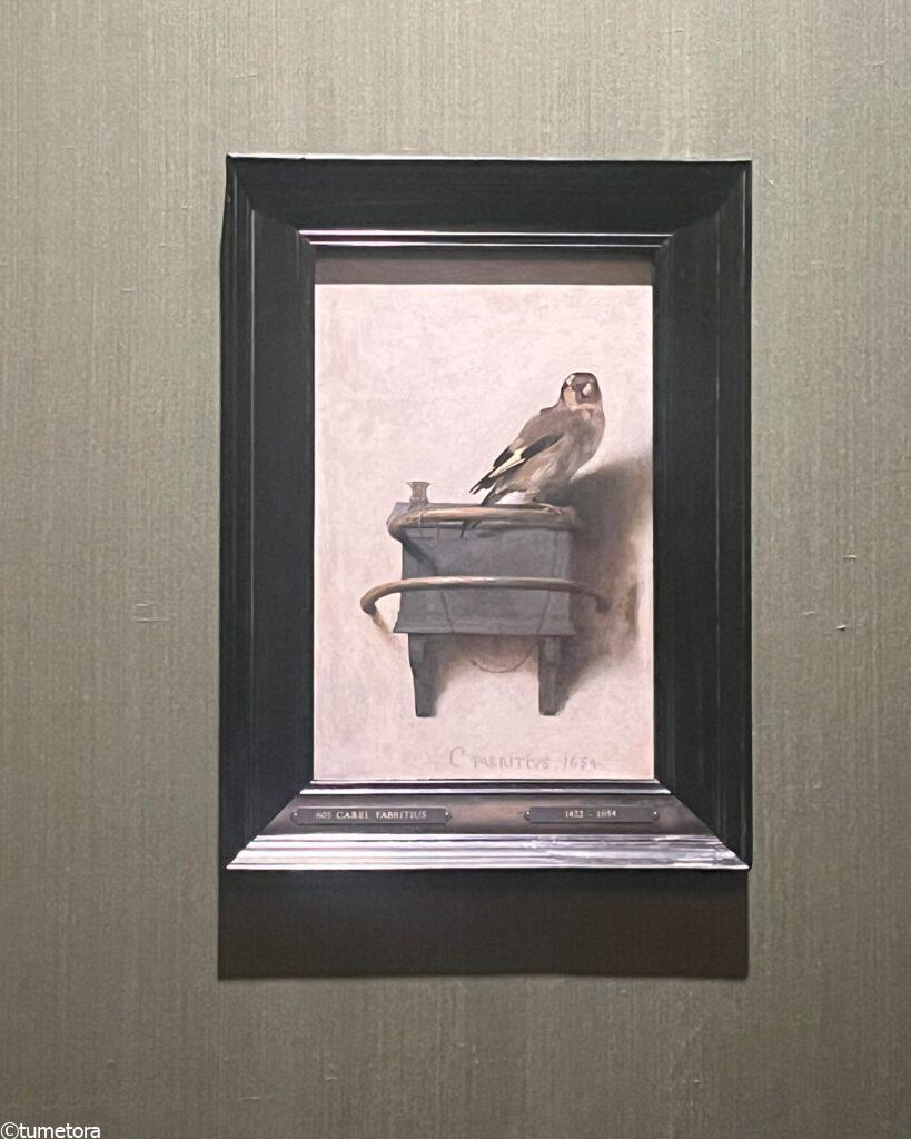 ファブリティウス「ゴシキヒワ」