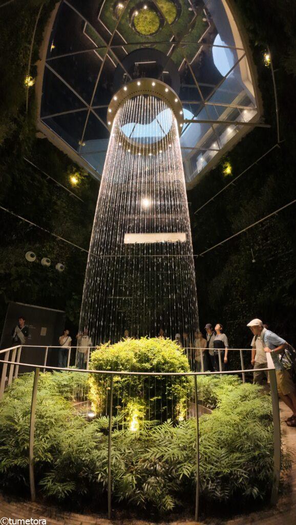 大阪・関西万博ＥＸＰＯ2025：ベルギーパビリオン・天井からの草木