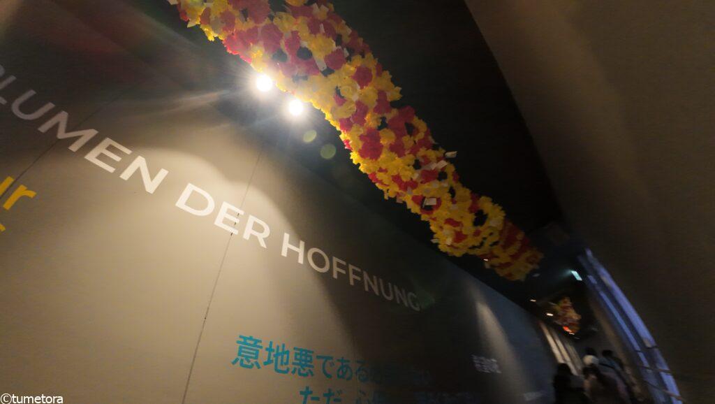 大阪・関西万博ＥＸＰＯ2025：ベルギーパビリオン・廊下のお花