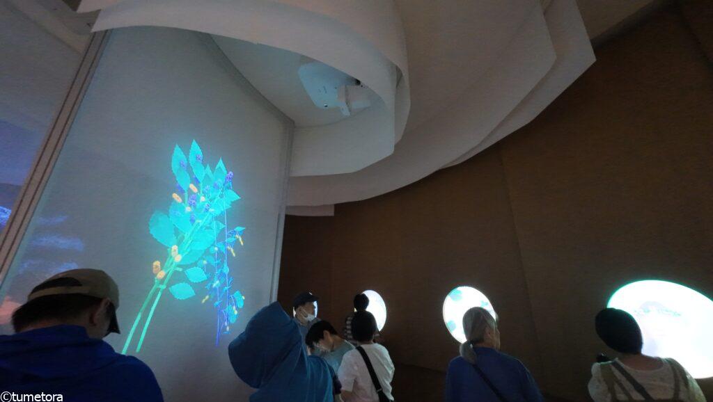 大阪・関西万博ＥＸＰＯ2025ポーランドパビリオン・内容2