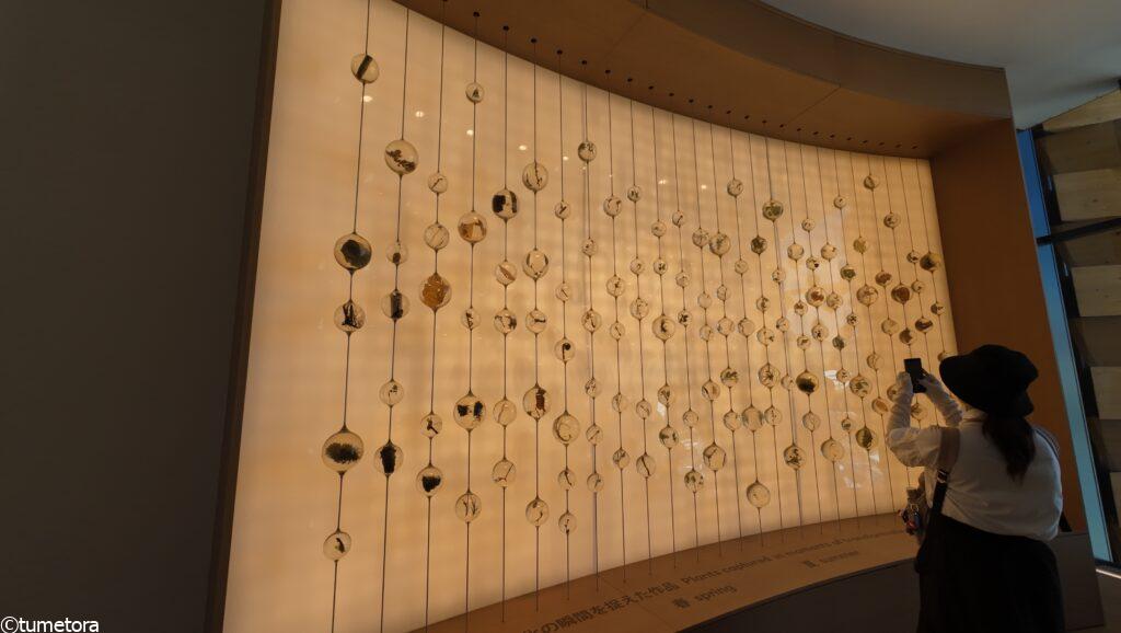 大阪・関西万博ＥＸＰＯ2025ポーランドパビリオン・展示