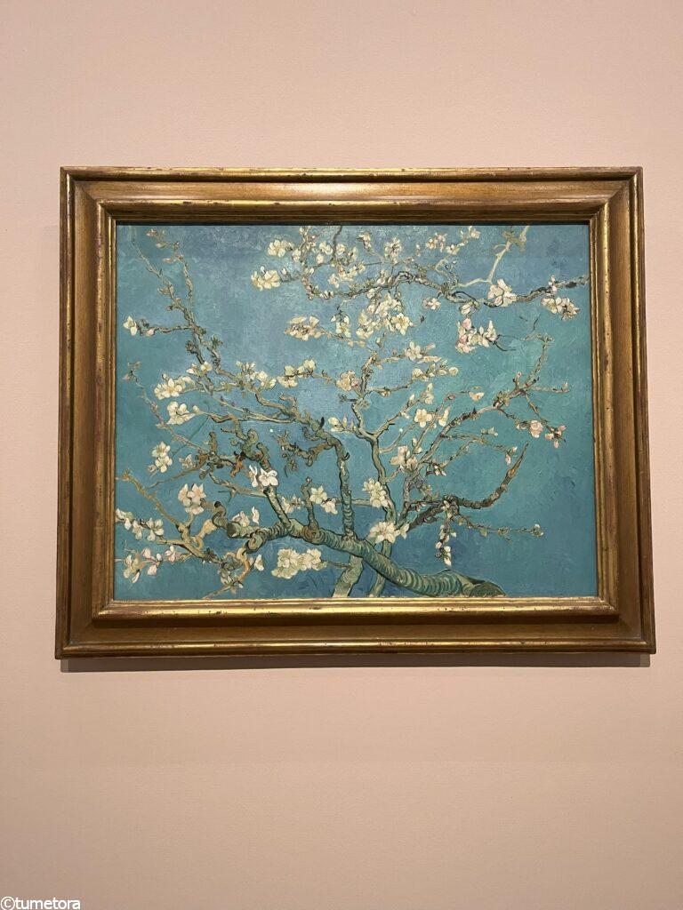 フィンセント・ファン・ゴッホ作「花咲くアーモンド」1890年2月サン=レミ