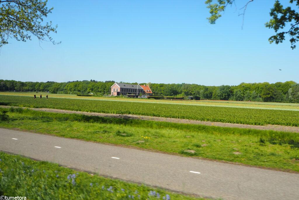 キューケンホフ公園発のシャトルバスからの景色