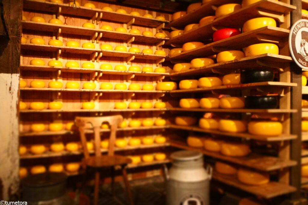 ザーンセスカンスの展示スペース2
