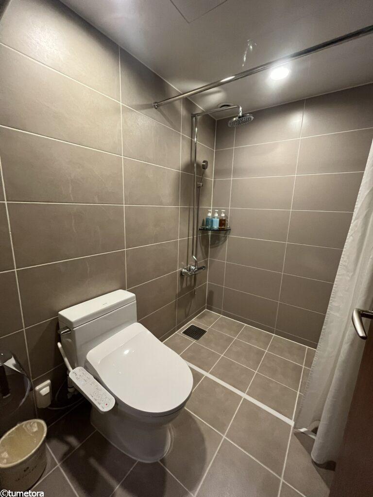 ホテル スカイパーク キングスタウンのデラックスツインのシャワー室1つ目