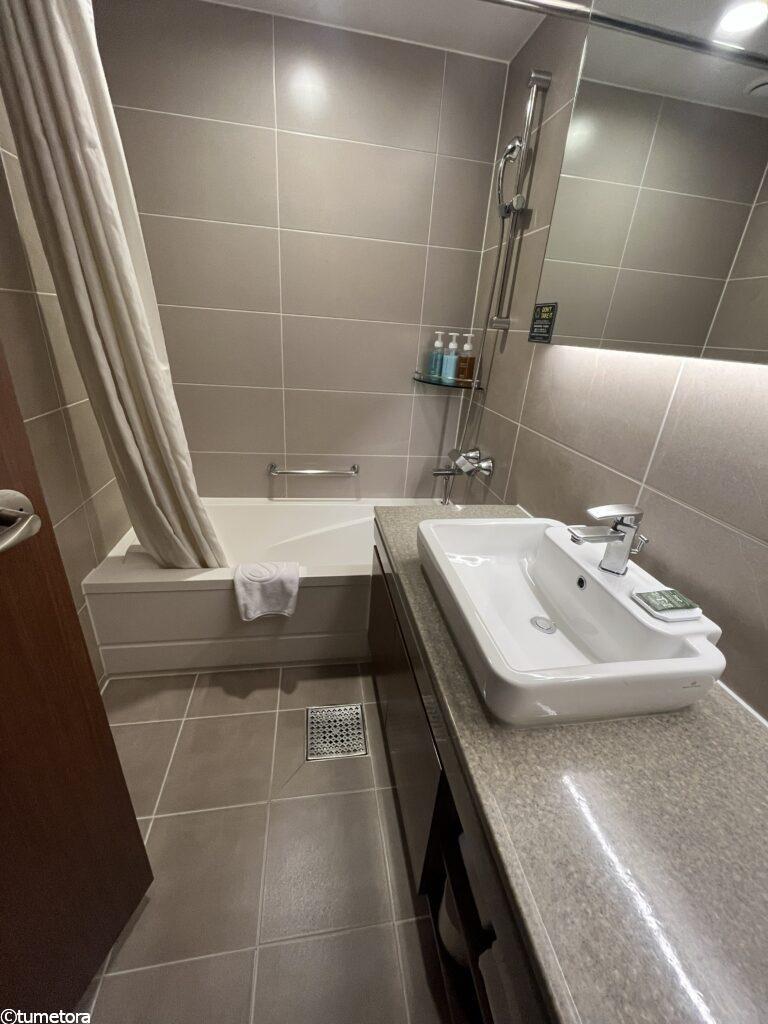 ホテル スカイパーク キングスタウンのデラックスツインのシャワー室2つ目