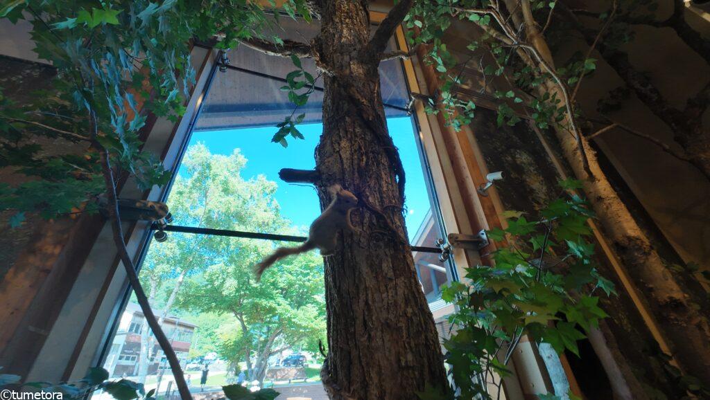 森の生き物のはく製2