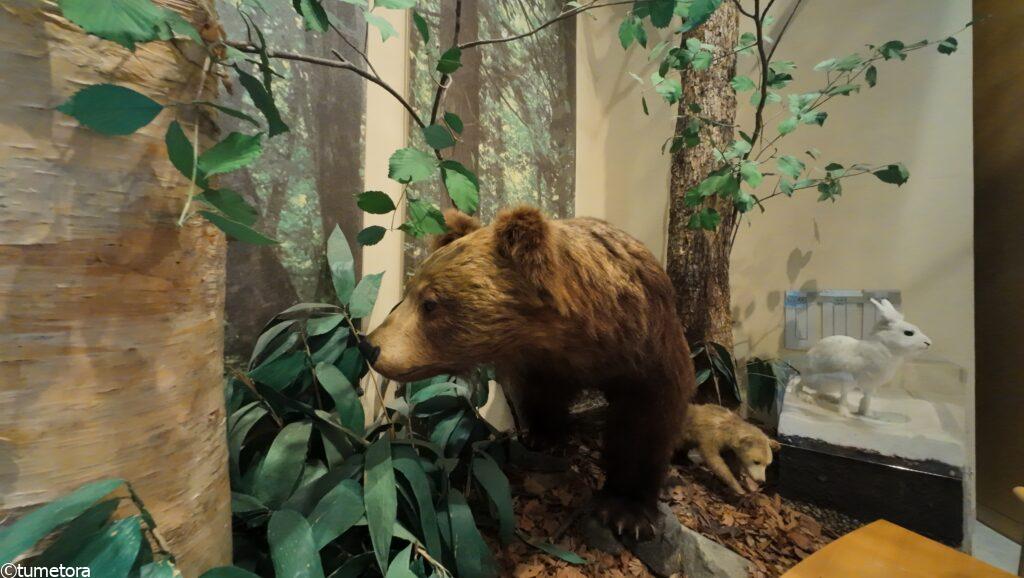 森の生き物のはく製1