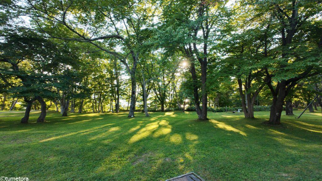 支笏湖すぐ横の公園
