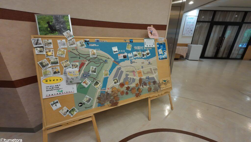 ワンダリングNatureコーナー