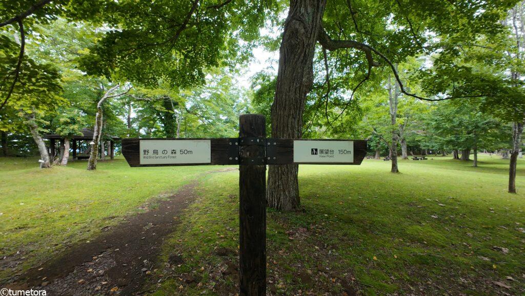 ホテルの広い庭3