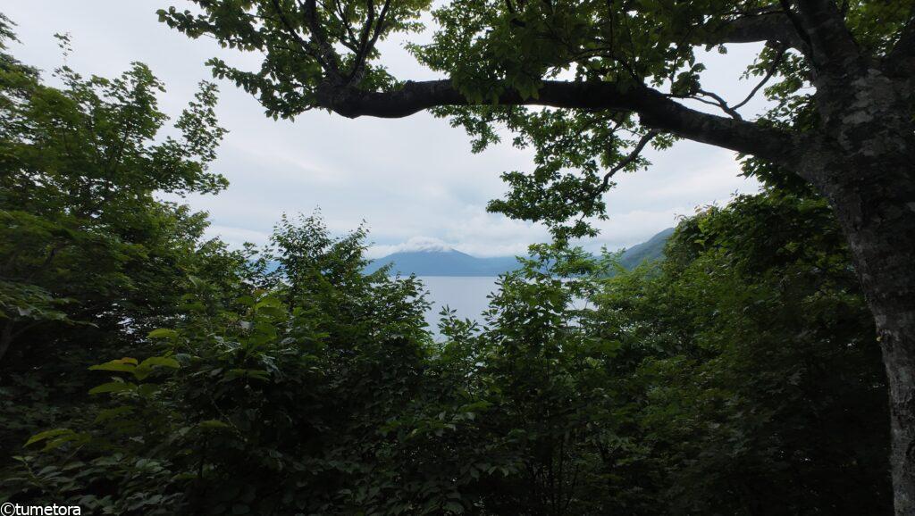 展望台からの景色