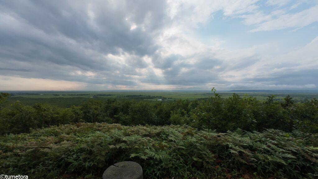 展望台からの景色